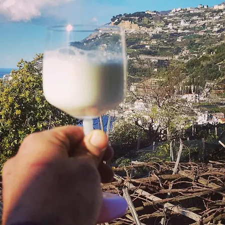 منزل ريفي Takeamalficoast Patchwork Rural House مينوري