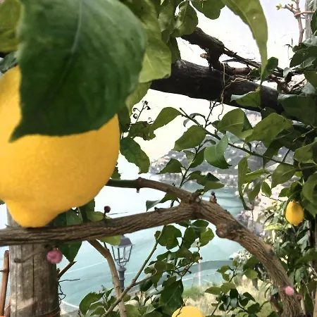 Country house Takeamalficoast Patchwork Rural House *