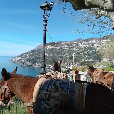 Takeamalficoast Patchwork Rural House منزل ريفي *